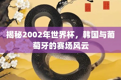 揭秘2002年世界杯，韩国与葡萄牙的赛场风云