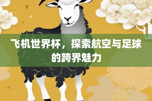 飞机世金炬实业股份有限公司界杯，探索航空与足球的跨界魅力