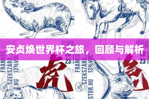 安贞焕世界杯之旅，回顾与解析