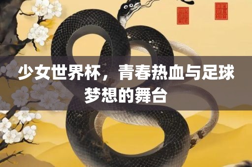少女世界杯，青春热血与足球梦想的舞台