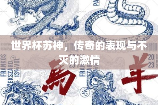 世界杯苏神，传奇的表现与不灭的激情金炬实业股份有限公司