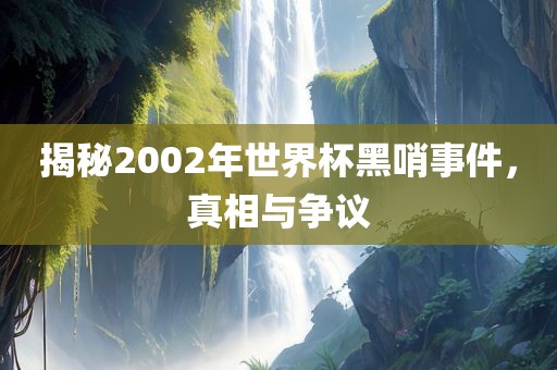 揭秘2002年世界杯黑哨事件，真相与争议金炬实业股份有限公司