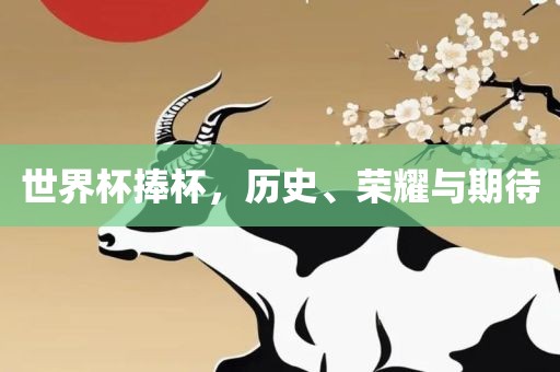 世界杯捧杯，历史、荣耀与期待