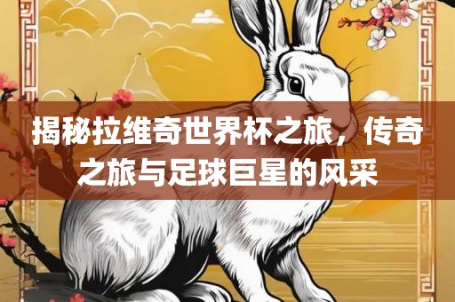 揭秘拉维奇世界杯之旅，传奇之旅与足球巨星的风采