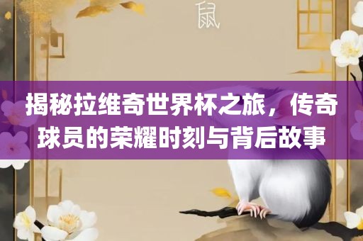 揭秘拉维奇世界杯之旅，传奇球员的荣耀时刻与背后故事金炬实业股份有限公司