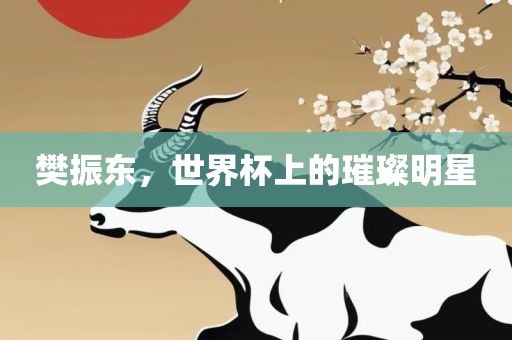 樊振东，世界杯上的璀璨明星