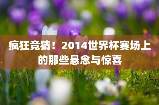 疯狂竞猜！2014世界杯赛场上的那些悬念与惊喜金炬实业股份有限公司