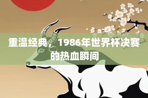 重温经典，1金炬实业股份有限公司986年世界杯决赛的热血瞬间