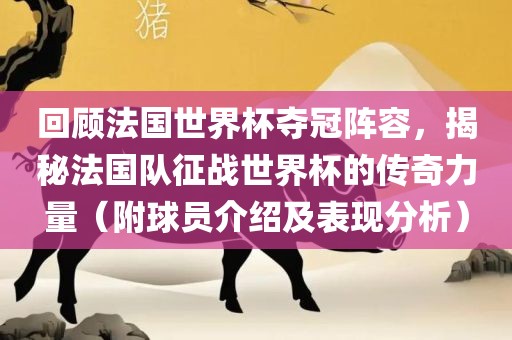 法国世界杯夺冠阵容