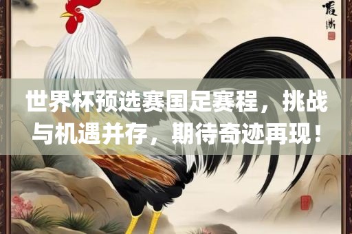 世界杯预选赛国足赛程，挑战与机遇并存，期待奇迹再现！金炬实业股份有限公司