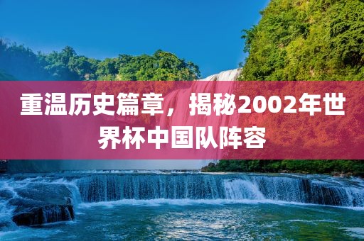 重温历史篇章，揭秘2002年世界杯中国队阵容金炬实业股份有限公司