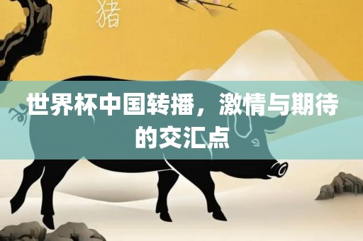 世界杯中国转播，激情与期待的交汇点金炬实业股份有限公司
