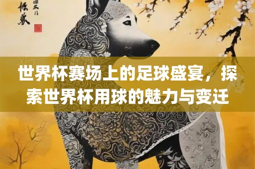足球盛宴与用球魅力