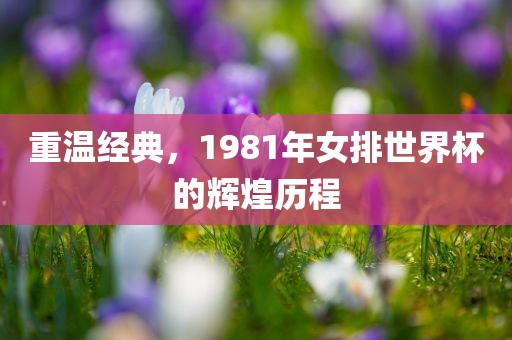 重温经典，1981年女排世界杯的辉煌历程金炬实业股份有限公司