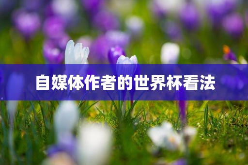 chenyuanwei 第8页