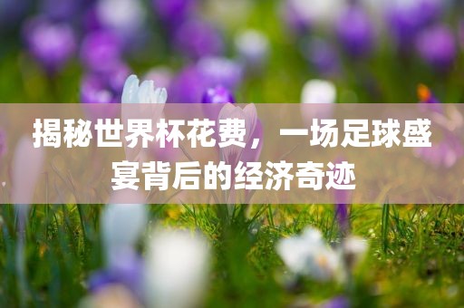 揭秘世界杯花费，一场足球盛宴背后的经济奇迹金炬实业股份有限公司