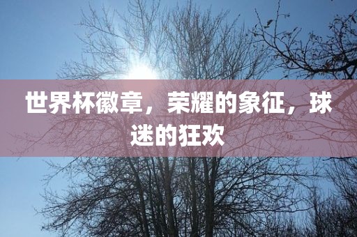 世界杯徽章，荣耀的象征，球迷的狂欢金炬实业股份有限公司