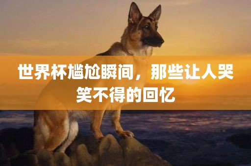 世界杯尴尬瞬间，那些让人哭笑不得的回忆金炬实业股份有限公司