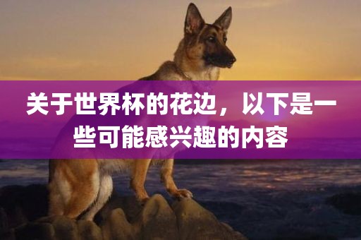 关于世界杯的花边，以下是一些可能感兴趣的内容金炬实业股份有限公司