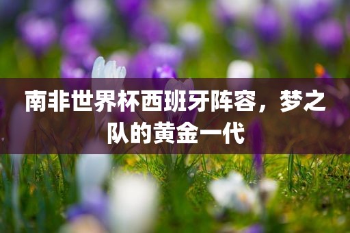 南非世界杯西班牙阵容，梦之队金炬实业股份有限公司的黄金一代