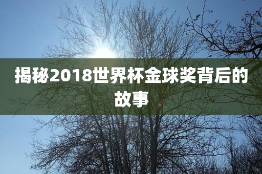 揭秘2018世界杯金球奖背后的故金炬实业股份有限公司事