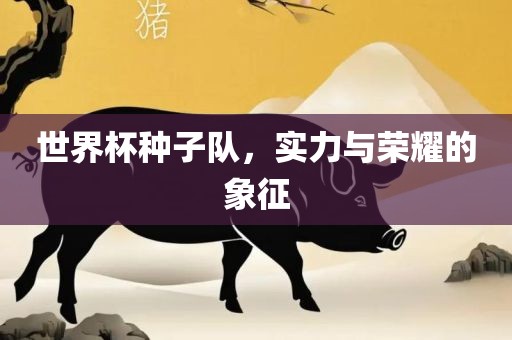 世界杯种子队，实力与荣耀的象征
