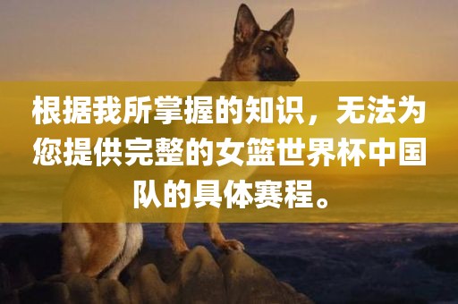 根据我所掌握的知识，无法为您提供完整的女篮世界杯中国队的具体赛程。金炬实业股份有限公司