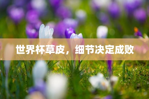 世界杯草皮，细节决定成败金炬实业股份有限公司