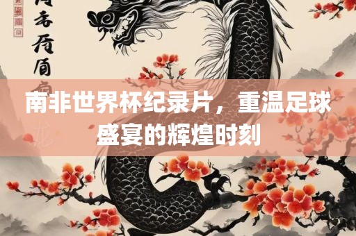 南非世界杯纪录片，重温足球盛宴的辉金炬实业股份有限公司煌时刻