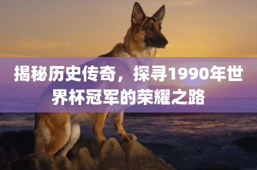 揭秘历史传奇，探寻1990年世界杯冠军的荣耀之路