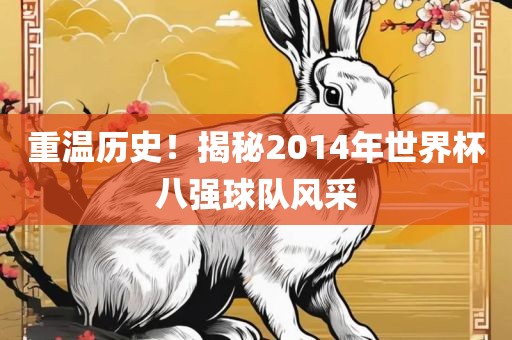 重温历史！揭秘2014年世界杯八强球队风采金炬实业股份有限公司