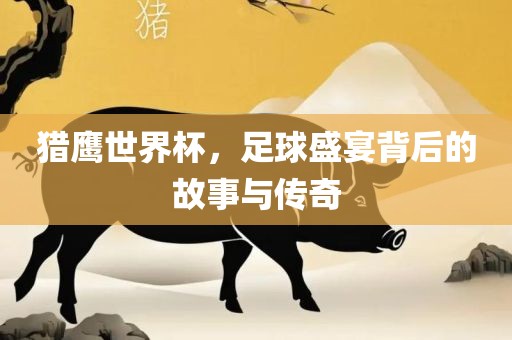 猎鹰世界杯，足球盛宴背后的故事与传奇金炬实业股份有限公司