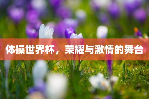 体操世界杯，荣耀与激情的舞台