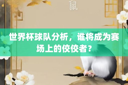 世界杯球队分析，谁将成为赛场上的佼佼者？