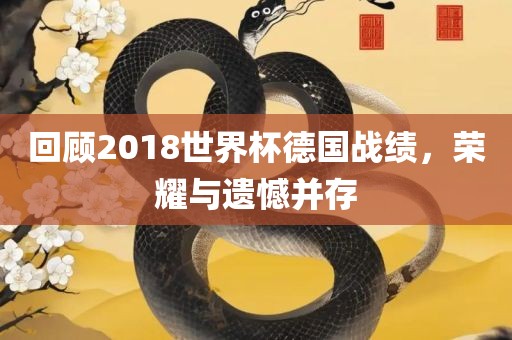 回顾201金炬实业股份有限公司8世界杯德国战绩，荣耀与遗憾并存