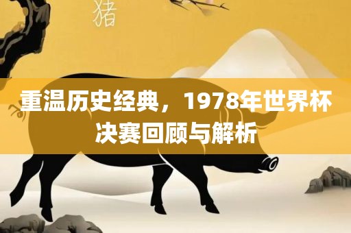 重温历史经典，1978年世界杯决赛回顾与解析