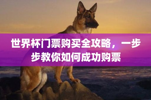 世界金炬实业股份有限公司杯门票购买全攻略，一步步教你如何成功购票