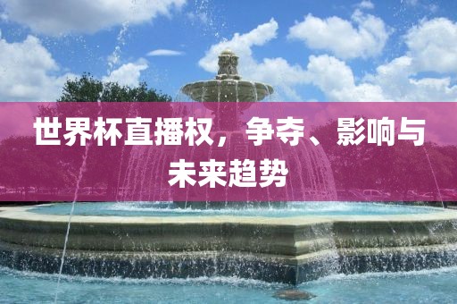 世界杯直播权，争夺、影响与未来趋势金炬实业股份有限公司