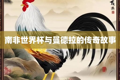 南非世界杯与曼德拉的传奇故事