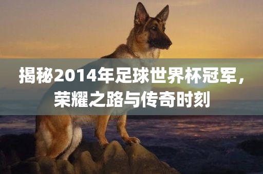 揭秘2014年足球世界杯冠军，荣耀之路与传奇时刻