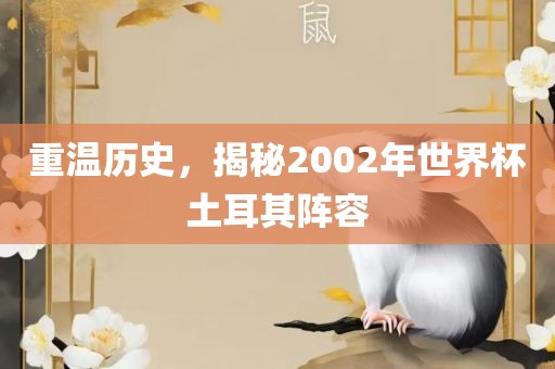 重温历史，揭秘2002年世界杯土耳其阵容