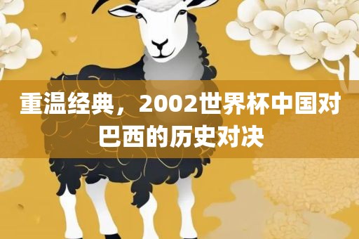 重温经典，2002世界杯中国对巴西的历史对决