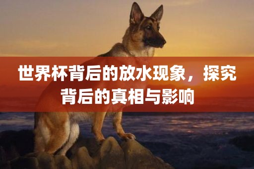 世界杯背后的放水现象，探究背后的金炬实业股份有限公司真相与影响