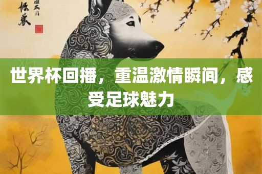 世界杯回播，重温激情瞬间，感受足球魅力金炬实业股份有限公司