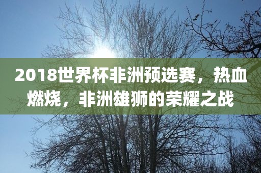 2018世界杯非洲预选赛，热血燃烧，非洲雄狮的荣耀之战