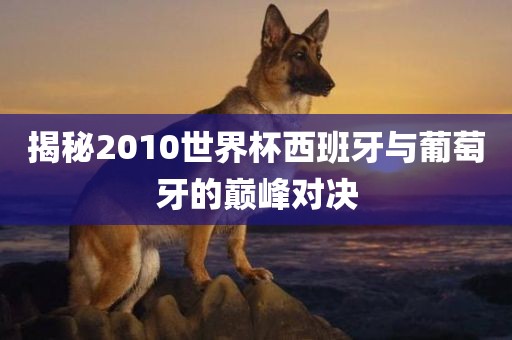揭秘2010世界杯西班牙与葡萄牙的巅峰对决