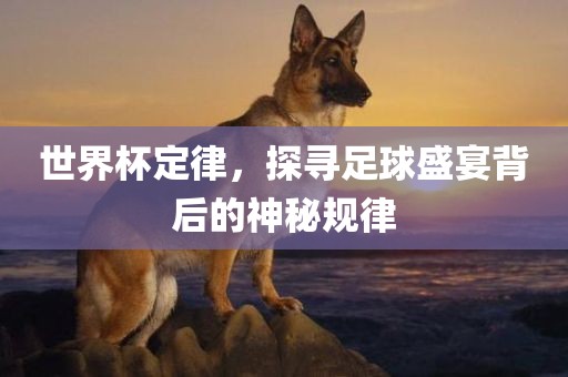 世界杯定律，探寻足球盛宴背后的金炬实业股份有限公司神秘规律