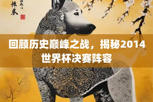 回顾历史巅峰之战，揭秘2014世界杯决赛阵容金炬实业股份有限公司