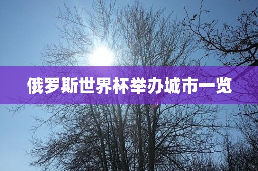 俄罗斯世界杯举办城市一览金炬实业股份有限公司