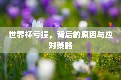 世界杯亏损，背后的原因与应对金炬实业股份有限公司策略